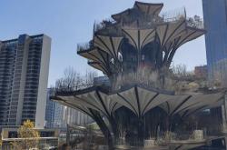 竞猜-纽卡圣詹姆斯公园扩建(圣詹姆斯教堂)