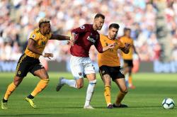 狼(láng)队夏季转会窗(狼(láng)队新赛季的新签球员)