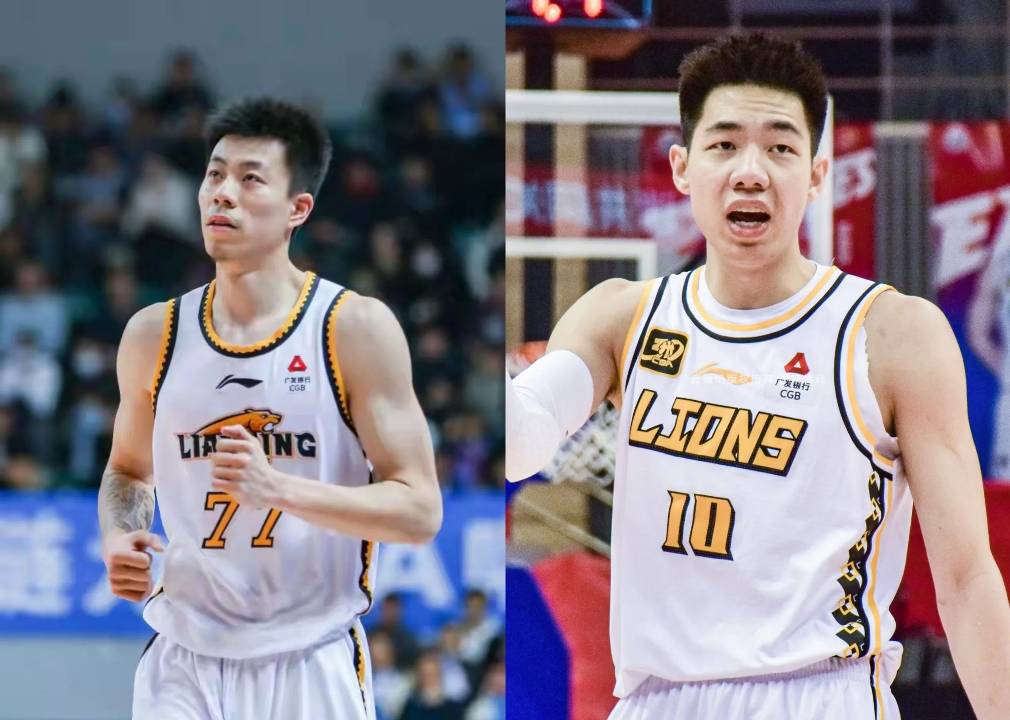 张镇麟夏季联赛数据(张镇麟季后赛数据)