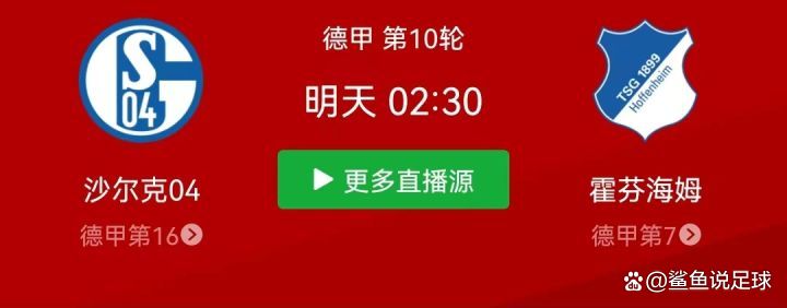 布莱顿官方APP赛事直播观看方式(布莱顿官方app赛事直播观看方式是什么)