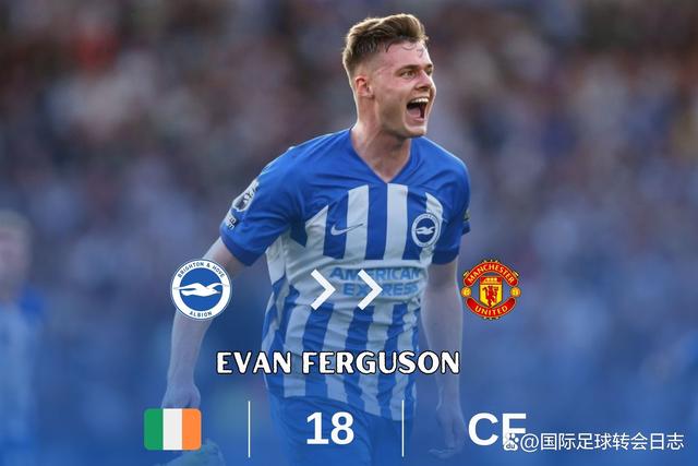 布莱顿球探系统(布莱顿足球俱乐部官网)