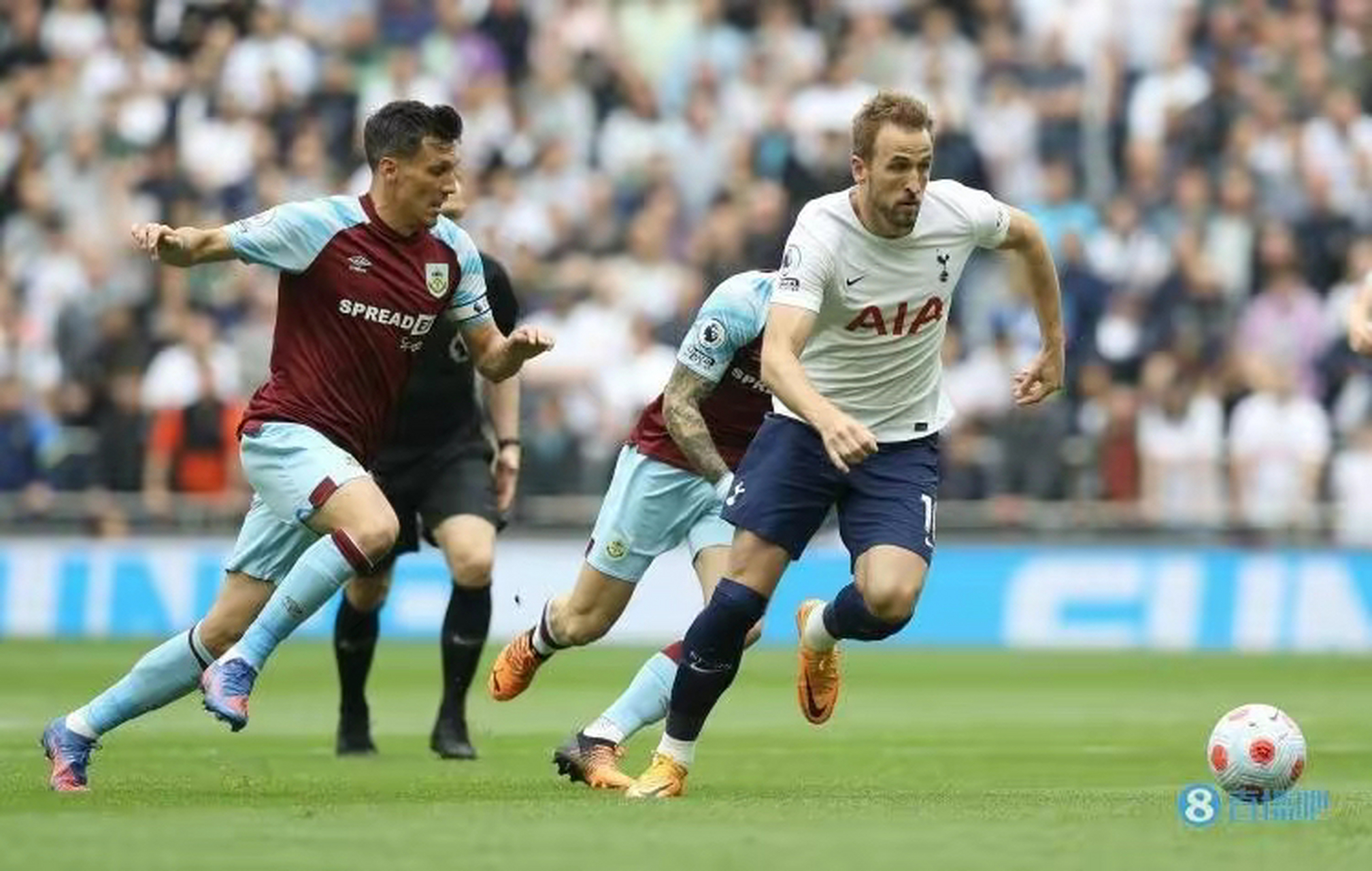 热刺主力前锋凯恩转会皇马传闻(热刺球员凯恩)