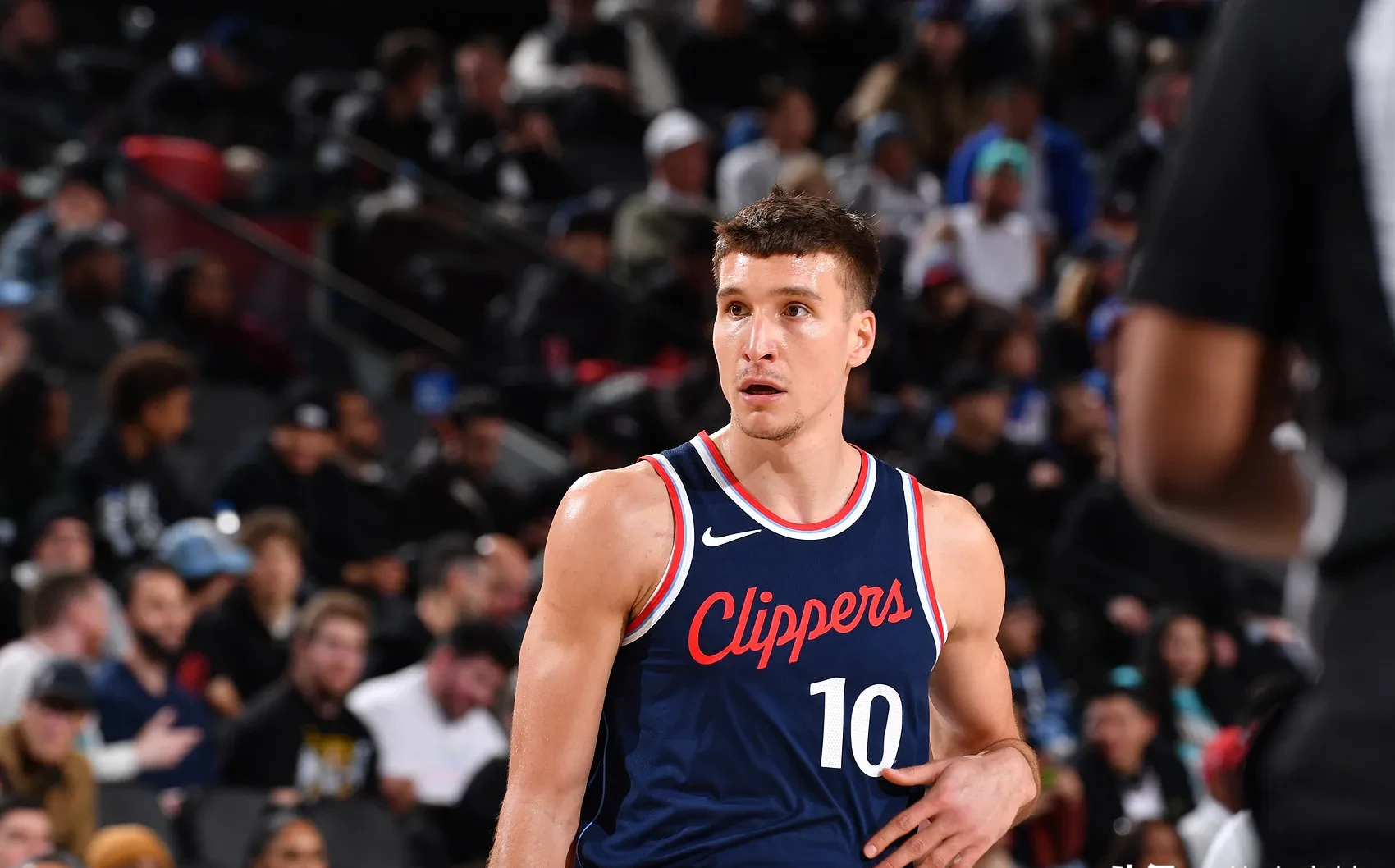 博格丹世界杯数据(博格丹诺维奇世界杯数据)