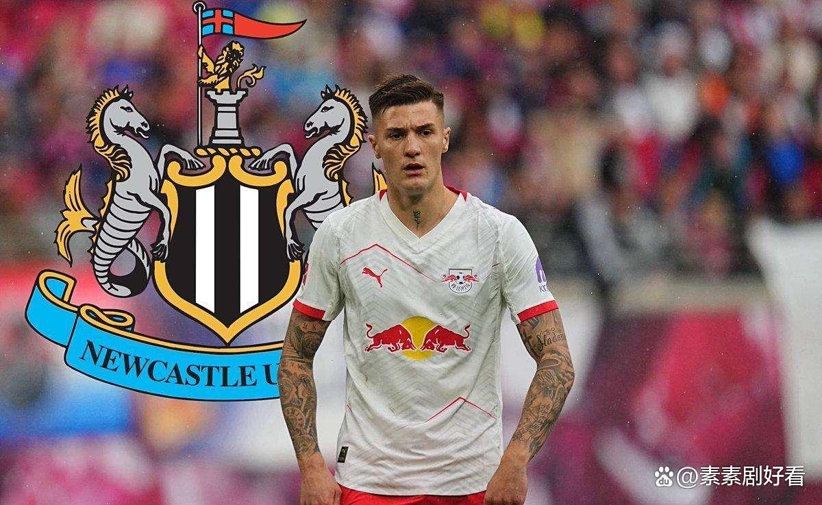 纽卡夏季转会窗引援的简单介绍