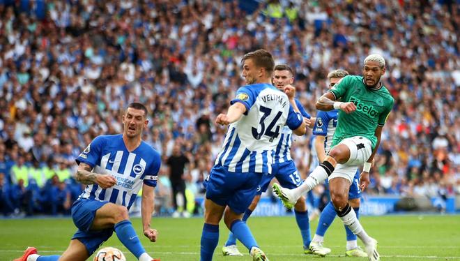 布莱顿弗格森租借罗马(布莱顿对埃弗顿聚胜顽球汇)